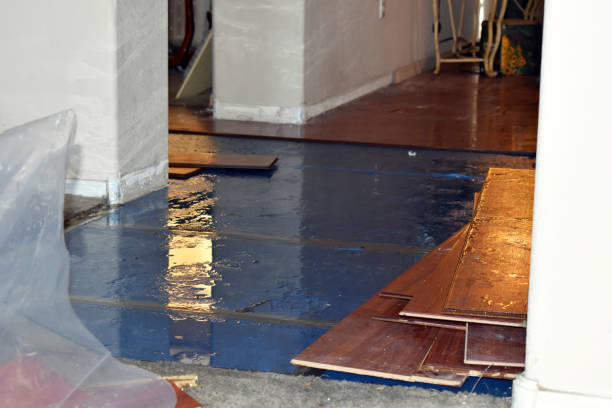Professional Sewage Cleanup technician working in Riga, MI